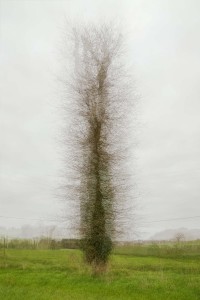 Sans titre - Série "Undefined Landscapes"