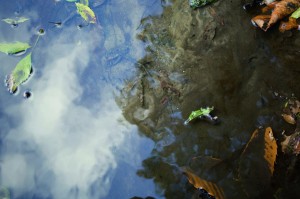 Les eaux sacrées et mythiques du pays de Dinan