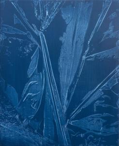 Jardin d’hiver - cyanotype II, 2019. Acrylique sur toile, 60x50cm
