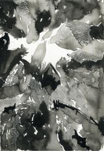 Tetrameles nudiflora #22, 2019encre de chine et grattage32x24cm