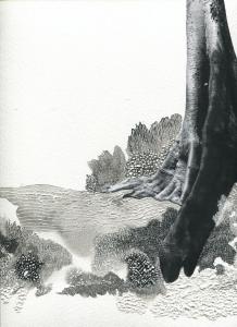 Tetrameles nudiflora #5, dessin par grattage sur encre de chine et collage, 24 x 32cm, 2018