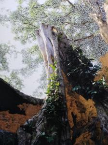 Tetrameles nudiflora #20, 2019pigment et grattagesur photographie32x24cm